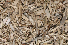 biomass boilers Gasper